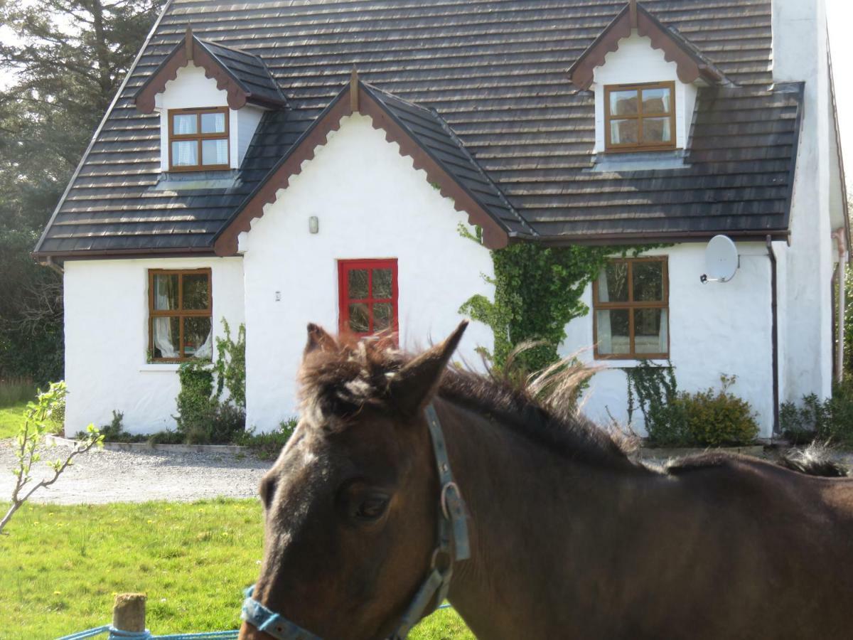 Letterfrack Mountain Farm Cottage Exterior foto
